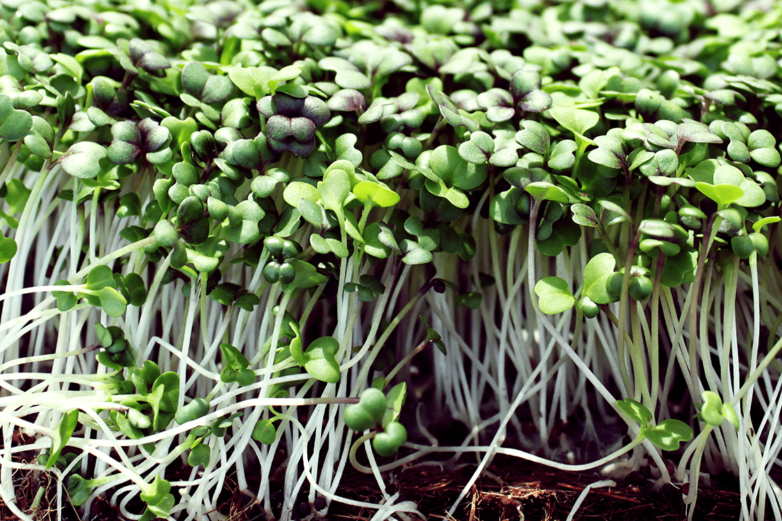 ‘ky开元·(中国)集团官网’JTP 和 Ed Barsley 赢得自我修复住宅未来奖(图2) ky开元集团官网入口