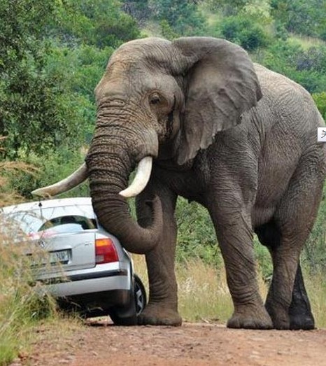 ky开元集团官网入口