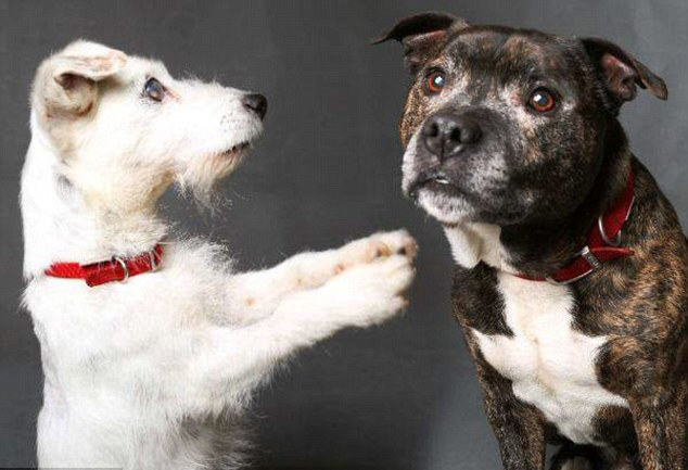 ky开元·(中国)集团官网