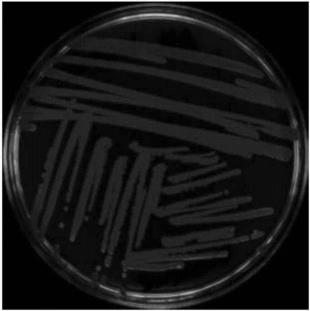 ky开元·(中国)集团官网