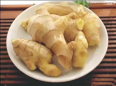 ‘KY开元·(中国)集团’汉堡追求内文·苏博蒂奇(图3) KY开元·(中国)集团