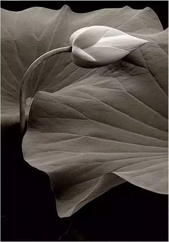 KY开元·(中国)集团